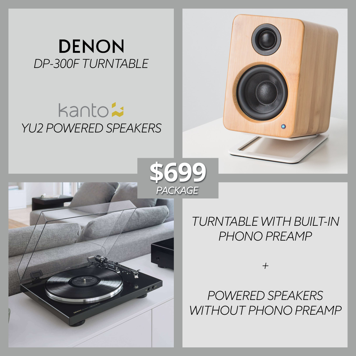 HiFi Turntable Setup for under 1,000! Gramophone